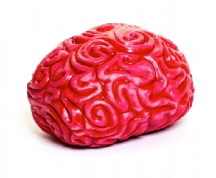 Keycraft Giant Squishy Brain