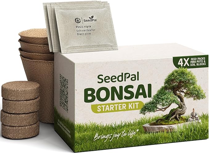 SeedPal Bonsai Set - Bonsai Starter Kit - Bonsai Anzuchtset 4 versch. Bonsai Baum Samen - Geschenkset/Pflanzset inkl. Anleitung & Zubehör - Bonsai Starter Kit