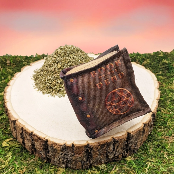 Epic Items Catnip Toy Book of the Dead, Necronomeowcon, Necronomicon, Filled w/ Certified Organic Catnip, Handmade Cat Toys