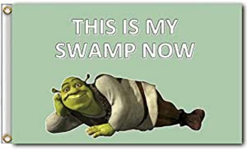 AUMIAU This Is My Swamp Now Flag Banner 3x5 Feet College Dorm Room Man Cave Frat Wall Outdoor Flag