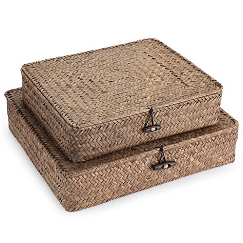 BTSKY Set of 2 Pack Woven Storage Baskets with Lids, Straw Wire Storage Organizer for Home/Office Supplies Such as Towels, Clothing, Cosmetics and Letters (Coffee) - coffee