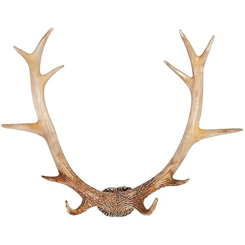 Hansmeier Geweih-Garderobenhaken - Stilvoll, Formschön & modern - Weiß - 73 cm - Deko Hirschgeweih - Mehrzweckhaken und Wanddeko - Hohe Tragkraft - Natur