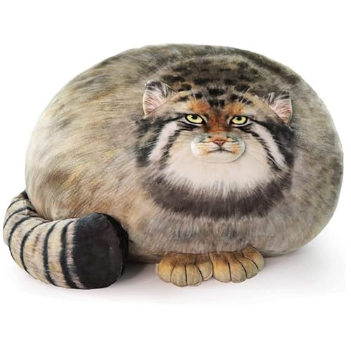 C A T