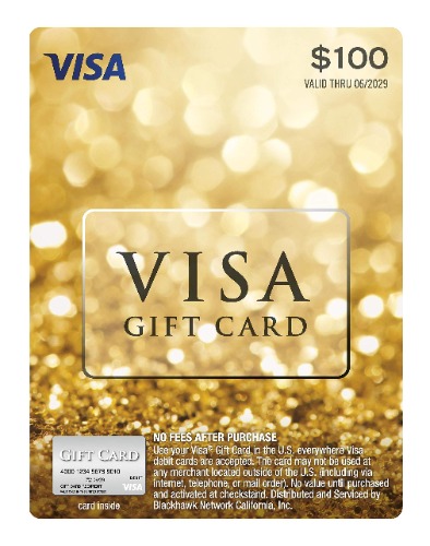 $100 Visa® Gift Card (plus $5.95 Purchase Fee) - 
