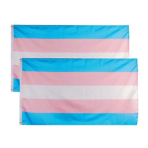 Flaglink Transgender Pride Flag 3x5 Fts - Trans Rainbow Banner 2 Pack - Trans 2 Pack