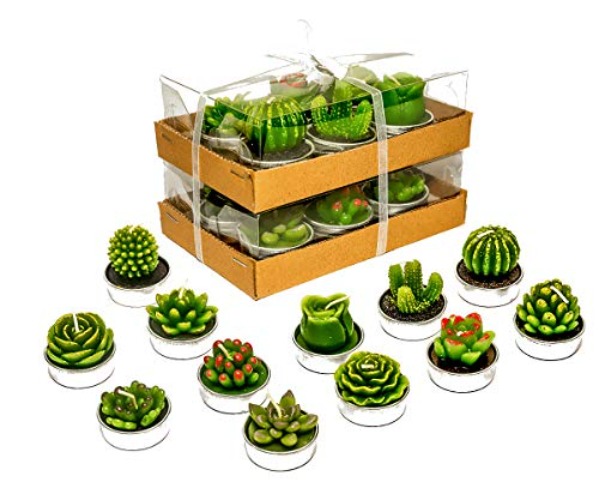 12-pc Cactus Tealight Candles, Unscented