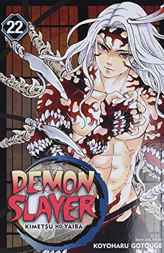 Demon Slayer: Kimetsu no Yaiba, Vol. 22: Volume 22