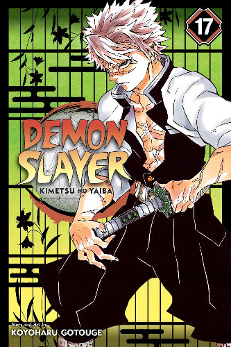 Demon Slayer: Kimetsu no Yaiba, Vol. 17: Volume 17