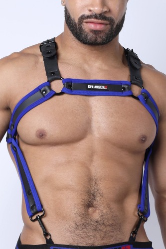 Buckle Up Neoprene Harness | Medium / Blue