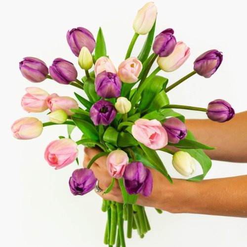 Sweet Tulips - Regular Shipping