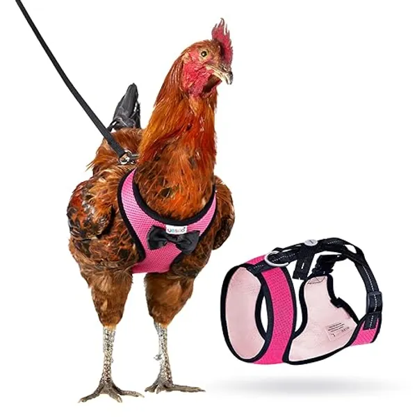 Yesito Chicken Harness Hen Size with 6ft Matching Leash – Adjustable, Resilient, Comfortable, Breathable, Small, Suitable for Chicken Weighing About 2.2 Pound,Pink - Small - Pink
