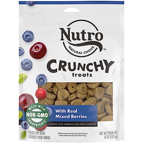 NUTRO Crunchy Dog Treats with Real Mixed Berries, 16 oz. Bag - Mixed Berries - 1 Pound (Pack of 1)