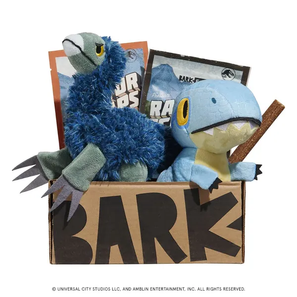 BarkBox Monthly Subscription Box, Dog Chew Toys, All Natural Dog Treats, Dental Chews, Dog Supplies Themed Monthly Box, Medium Dog (20-50lb) - Medium Dog (20-50lb)