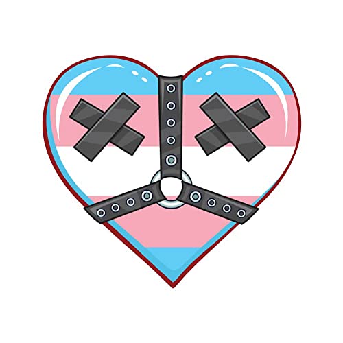 Dark Spark Decals Transgender Kink Pride Heart with Pasties and Harness LGBTQ+ Flag - 3 Inch Full Color Vinyl Decal for Indoor or Outdoor use, Cars, Laptops, Décor, Windows, and More - 3 Inch - Transgender