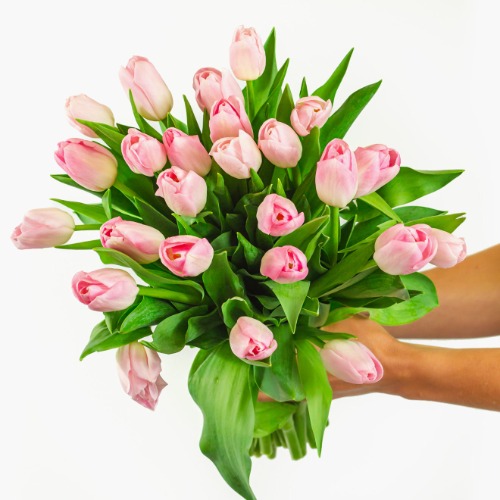 Princess Pink Tulip Bouquet - Regular Shipping
