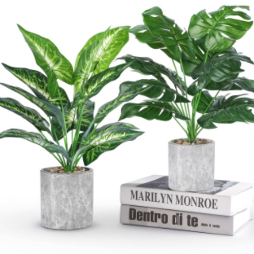 🌿Der Rose 2 Pack Fake Plants Artificial Potted Faux Plants for Office Desk Home Farmhouse Decor - Taro Leaf and Monstera Leaf 2Packs 16''