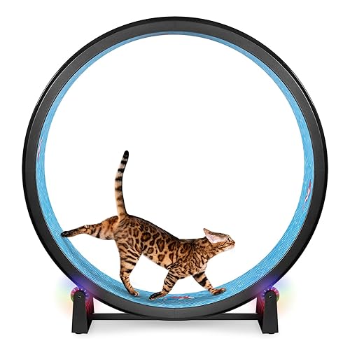 One Fast Cat - Cat Exercise Wheel - Gen. 7 - Safe 48" Diameter - Made in The USA - Black Wheel with Koi Pond Foam Traction Pads and Light-Up LED Inline Wheels - Black Wheel / Koi Pond Foam / LED Inline