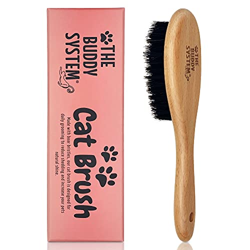 The Buddy System Cat Brush with Boar Bristle and Wooden Handle, Professional Grade Daily Grooming Hairbrush, Reduce Shedding, Soft Hair and Healthy Shine (1 Pack) - 1 Pack