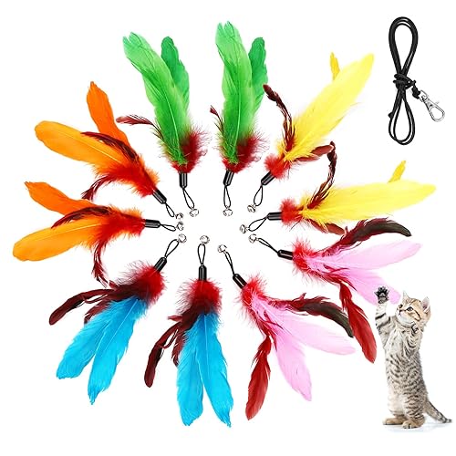 MeoHui 11PCS Cat Feather Toys Replacement Cat Toy Wand Refills, 10PCS Feathers Refill and 1PC Replacement String, Interactive Cat Wand Toy Replacement Feather for Bored Indoor Adult Cats Kitten - Feather Refills