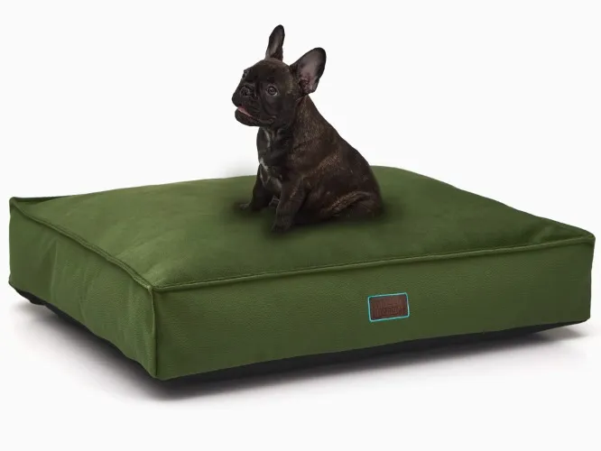 Dog bed for Zuko <3