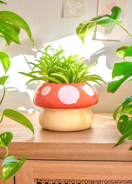 Mushroom Planter | Default Title