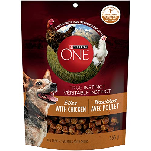 Purina ONE True Instinct Bites with Chicken, Natural Dog Treats - 566 g