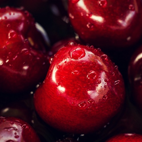 Lost Cherry (Tom Ford type) - Premium Fragrance Oil - 4 fl oz