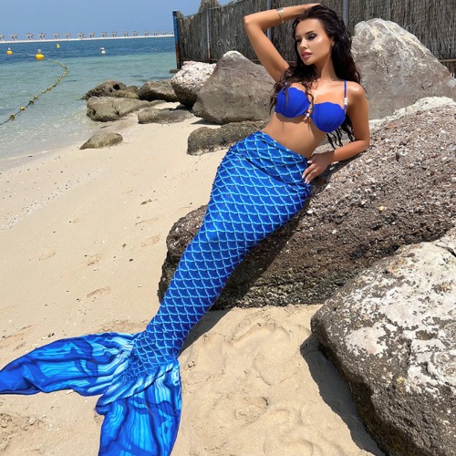 Blue Mermaid Costume Bikini Set - Blue / L