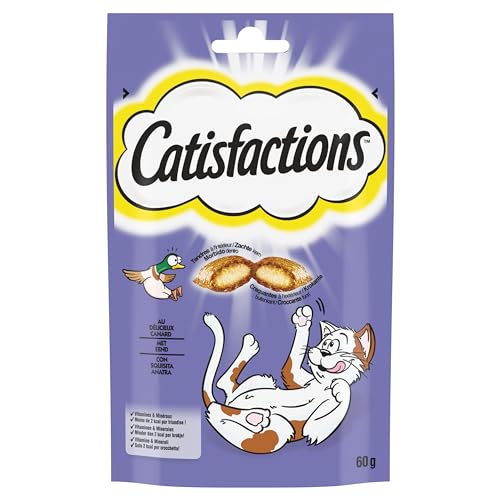CATISFACTIONS 