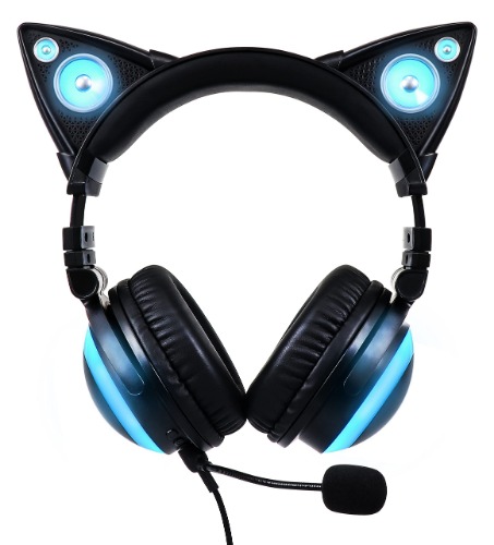 CAT HEADPHONES MUSE BECOMES CUTE