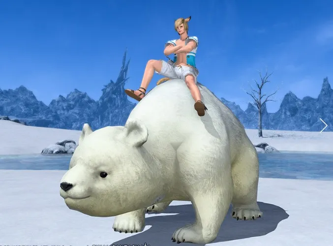 Polar Bear Mount