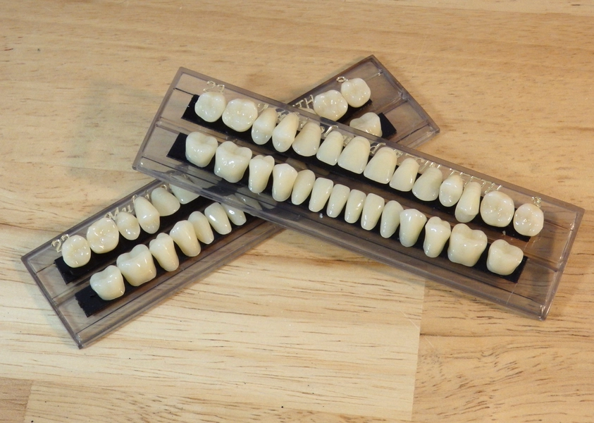 Full Set Realistic Resin Human Teeth (imitation bone skeleton tooth fairy gothic goth gore creepy spooky halloween craft steampunk mourning)