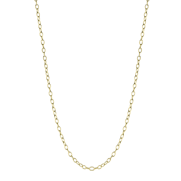Ceili Chain Link Gold Necklace
