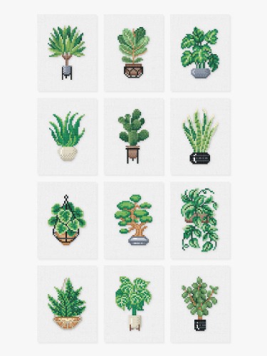 Houseplants Edition |