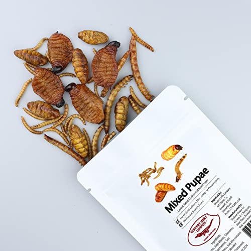 Newport Jerky Company Edible Insects (Mixed Pupae) - Mixed Pupae