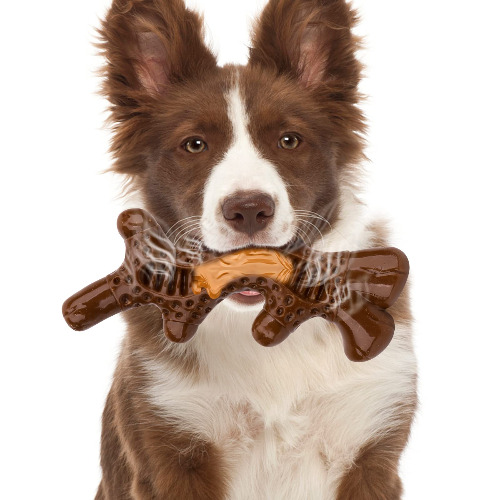 Dog Stick Chew Toy for Aggressive Chewers