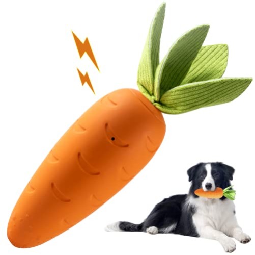 Carrot for the pup