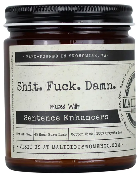 Malicious Women Candle Co - Shit. Fuck. Damn, Oakmoss & Amber Infused with Sentence Enhancers, All-Natural Organic Soy Candle, 9 oz