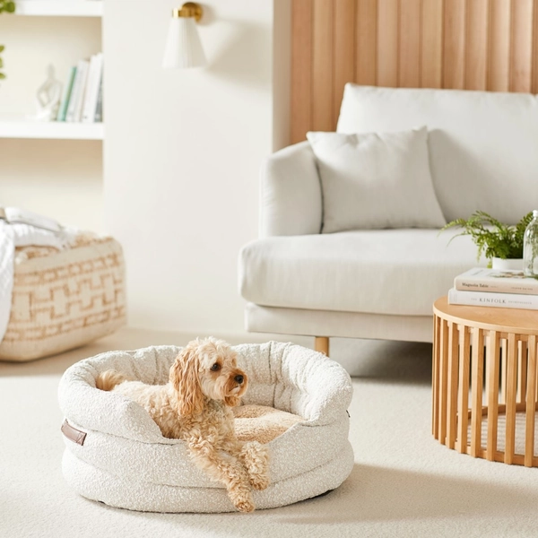 Ziggy Cream Boucle Pet Bed | Furniture | Adairs
