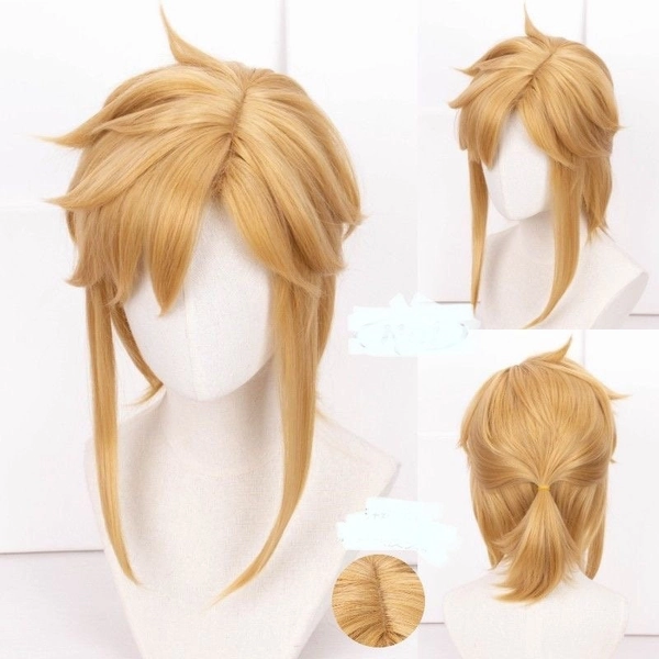 Link wig, cosplay, costume