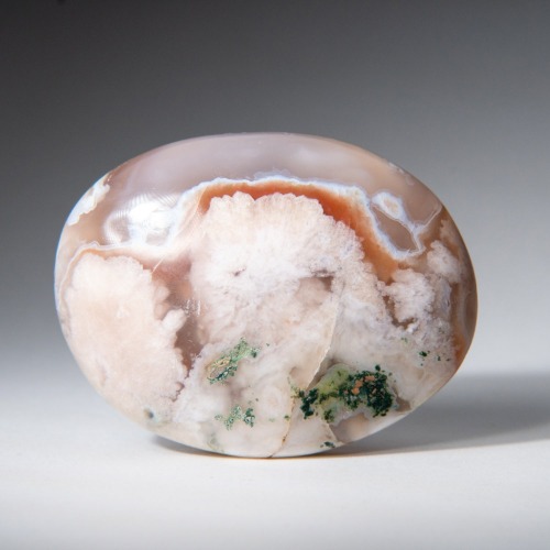 Genuine Polished Flower Agate (Medium) Palm Stone