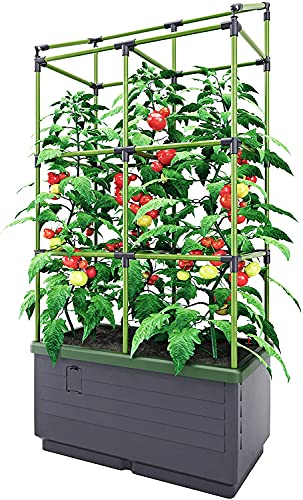 Bio Green City Jungle Gardening System –Self Watering Planter with Trellis –17L Water Reservoir –Easy DIY Assembly –Ideal for Flowers, Herbs, Vegetables