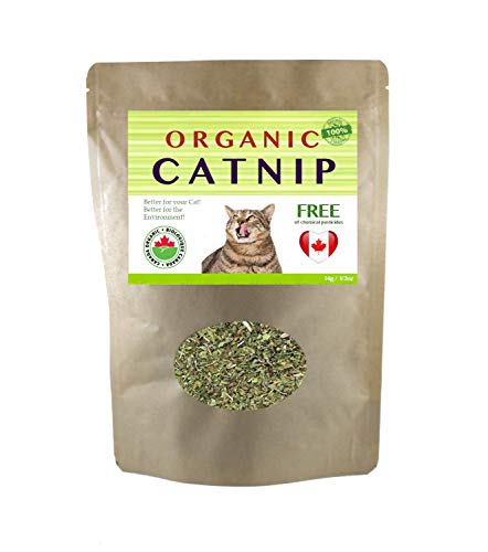 Catnip Organic Premium Blend | Fresh and Dried, Safe for Cats | Natural Cat Treat Better for The Environment Better for Your Cat | Buddy Bits Made in Canada (Medium Size Bag)