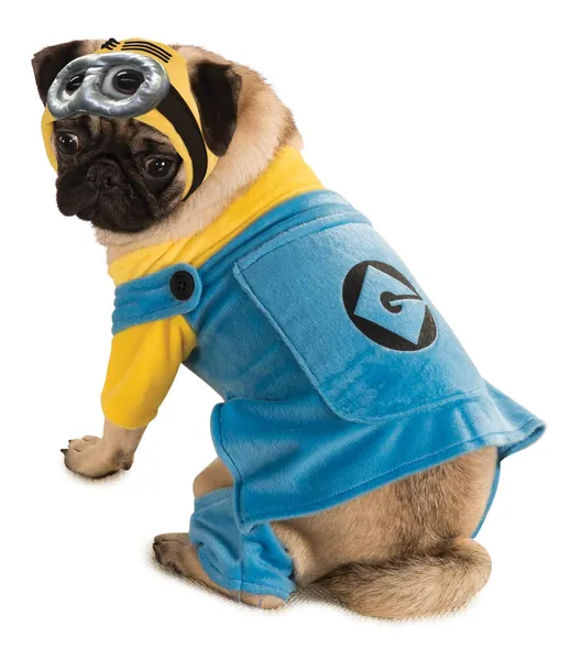 Despicable Me Minion Pet Costume, X-Large