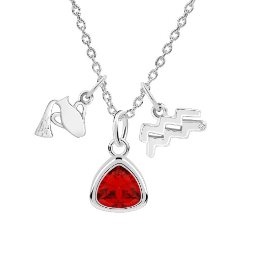 Double Zodiac Charm with Birthstone Necklace | Aquarius Set with January (Garnet Red) Birthstone Necklace