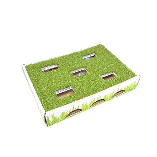 Catstages Grass Patch Hunting Box Cat Toy - Hunting Box