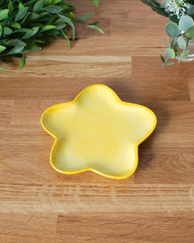 Star saucer for plants