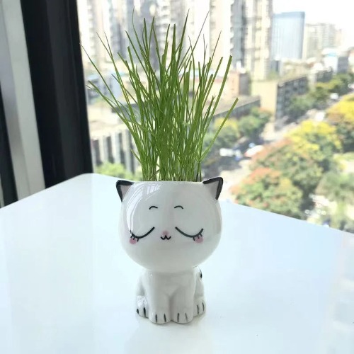 White Ceramic Cute Cat Cartoon Plant Pot (Various Expressions) - Closed Eyes