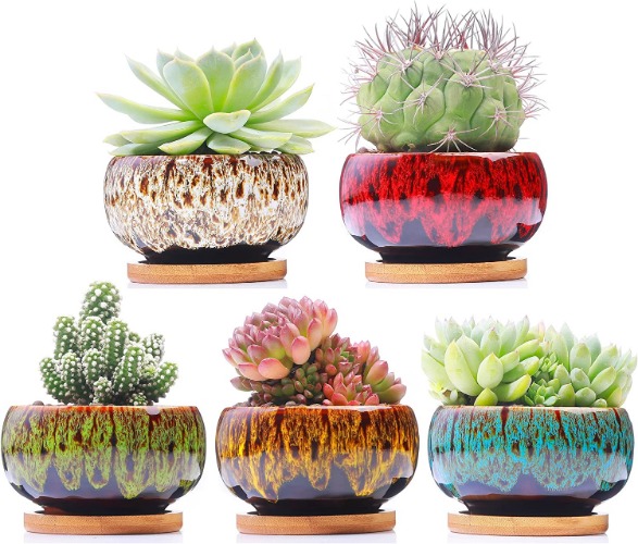 Cute Ceramic Succulent Garden Pots, Set of 5 