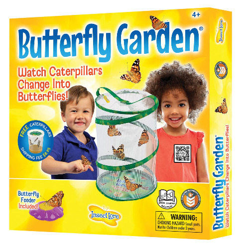 Insect Lore - Butterfly Growing Kit - With Voucher to Redeem Caterpillars Later - 